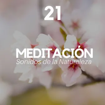 21 Meditación - Música de Fondo para Meditar, Sonidos de la Naturaleza, Música Relajante para Equilibrar los 7 Chakras by Sueño Real