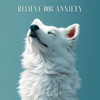 Relieve Dog Anxiety by Unknown Artist