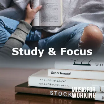 Study & Focus by Music for Working