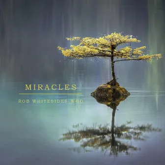 Miracles by Rob Whitesides-Woo