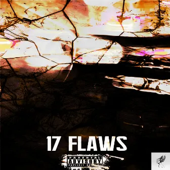 17 FLAWS by RXRETXPEVISIXN