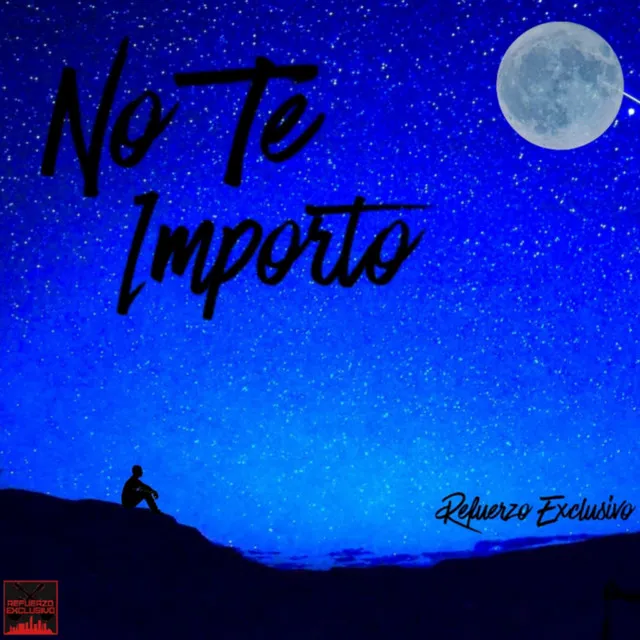 No Te Importo