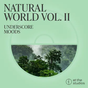 Natural World Vol II by Amadeo Lopez