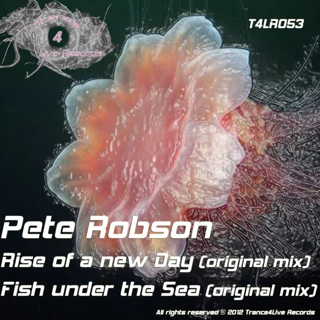 Rise of A New Day - Original Mix