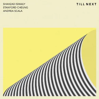 Till Next by Shahzad Ismaily