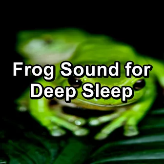 Frog Sound for Deep Sleep by Frog Sounds