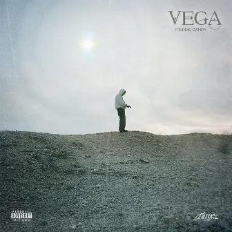 VEGA by Freddie Dandy