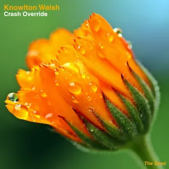 Crash Override by Knowlton Walsh