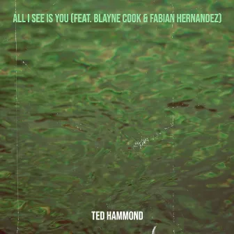 All I See Is You by Ted Hammond