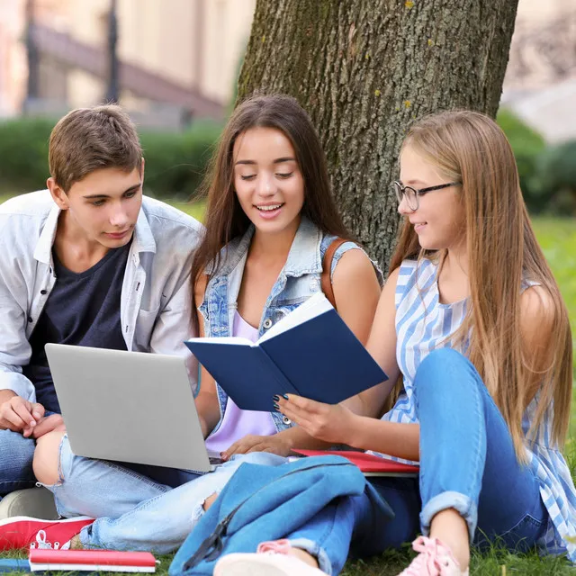 Nature's Wisdom Ocean Waves and Chill Music for Engaged Study Time