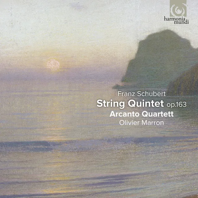 String Quintet in C Major, Op. 163 D. 956: II. Adagio