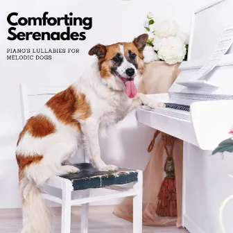 Comforting Serenades: Piano's Lullabies for Melodic Dogs by Vincent & A Secret