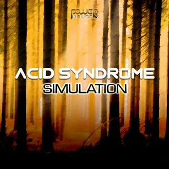 Simulation by Acid Syndrome