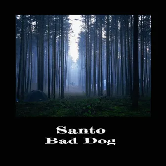 Bad Dog by Santo