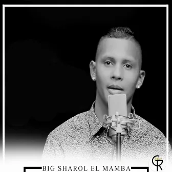 El Mamba by Big Sharol