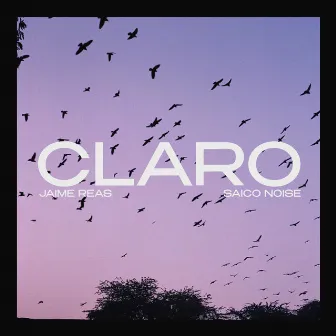 Claro by Jaime Reas