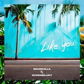 Like You by Bouncilla