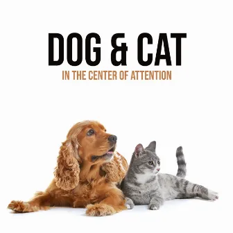 Safe Relaxing Space for Your Best Friend. Dog & Cat in the Center of Attention by Pets Music