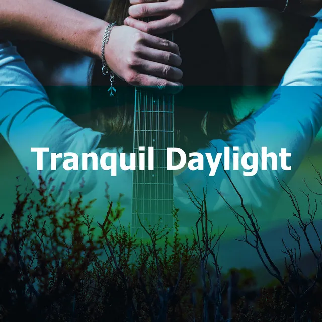 Tranquil Daylight