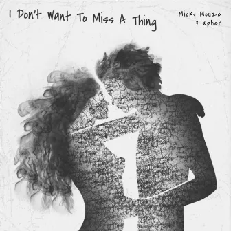 I Don't Want To Miss A Thing by Micky Mouze