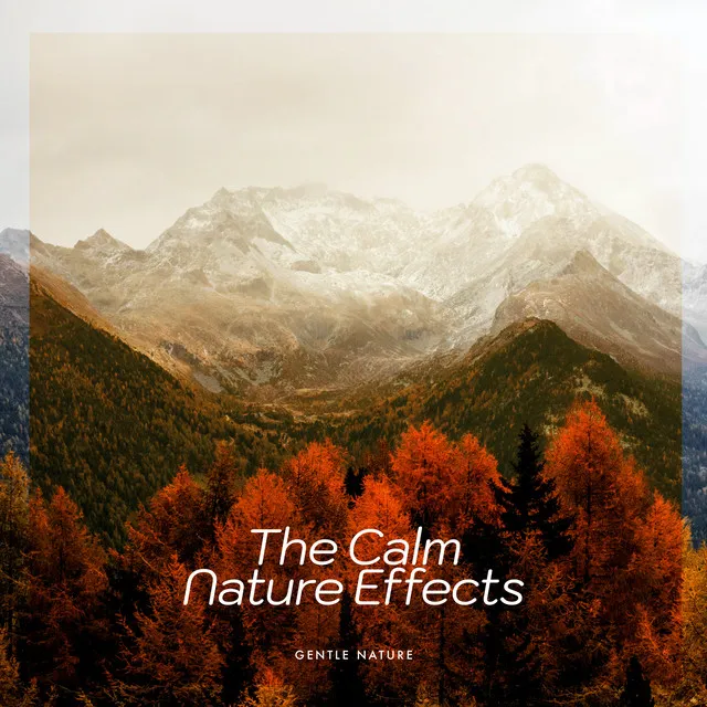 The Calm Nature Effects