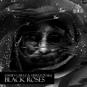 Black Roses by David Garez