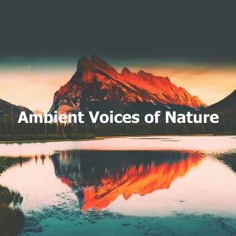 Ambient Voices of Nature by Sleeping Baby Songs