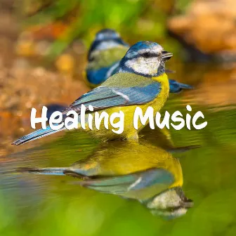 Peaceful Ambience for Spa, Yoga, Massage and Relaxation by Soothing Relaxing Melody