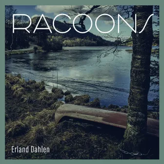 Racoons by Erland Dahlen