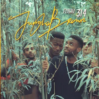 Flight 314 by Jungle Brown