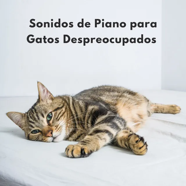 Ritmos De Calipso De Gatito