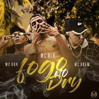 Fogo no Dry by Mc Guh