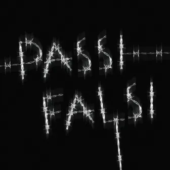 PASSI FALSI by demo