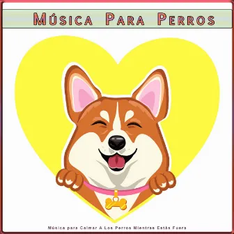 Música Para Perros: Música para Calmar A Los Perros Mientras Estás Fuera by Ansiedad De Los Perros