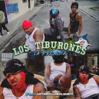 Los Tiburones by La fiebre Pullando Lo Botone