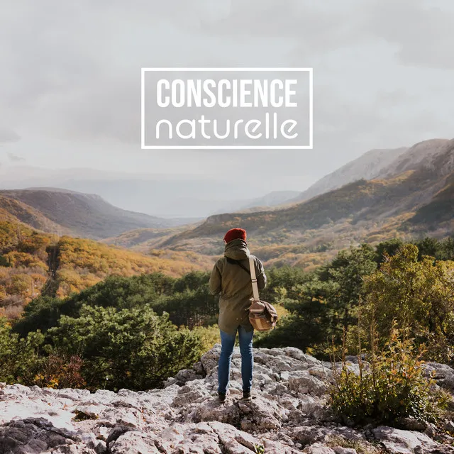 Conscience naturelle: Bruits de forêt, mer, pluie, rivière