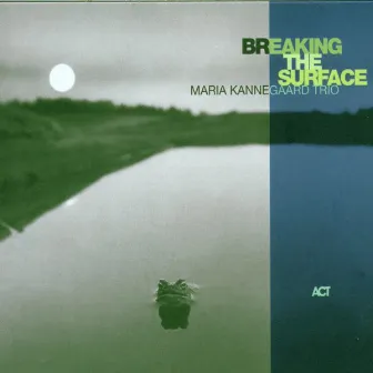 Breaking the Surface by Maria Kannegaard Trio