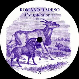 Manipulation by Romano Rapeso