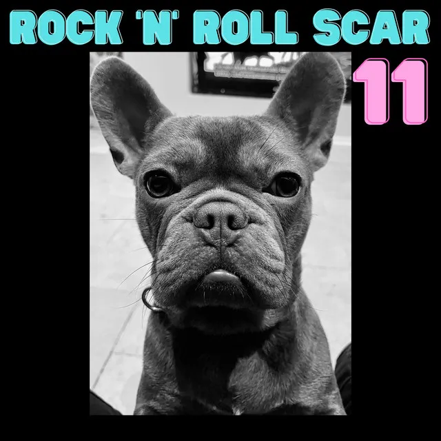 Rock 'n' roll Scar (Radio Edit)