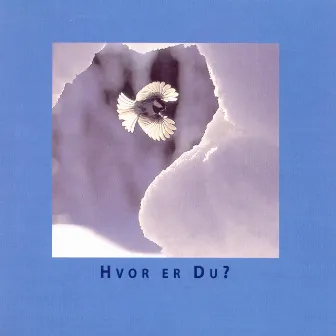 Hvor Er Du? by Merete Føyen Arnevåg