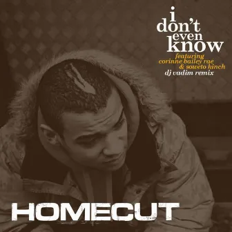 I Don't Even Know (DJ Vadim Remix) by Homecut