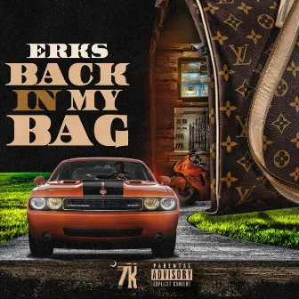 Back in My Bag by Erks