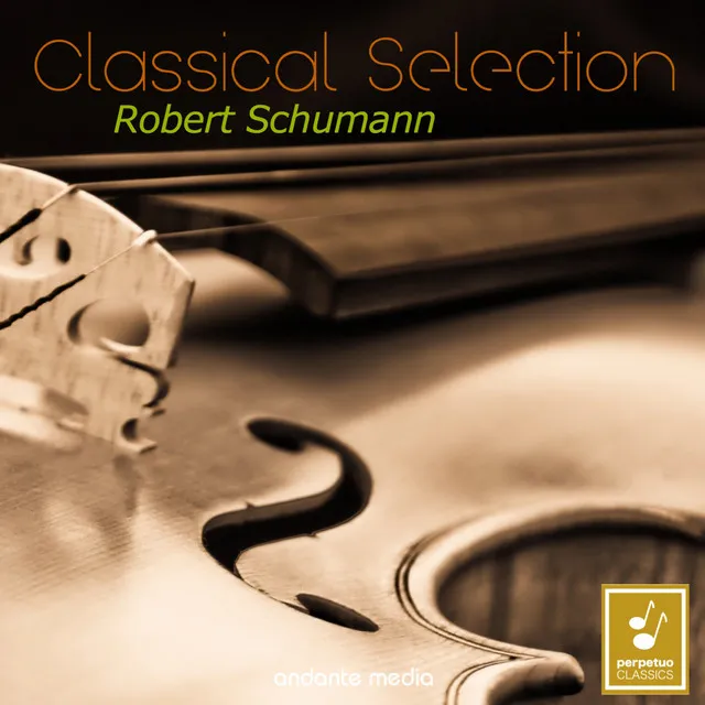 Cello Concerto in A Minor, Op. 129: II. Langsam