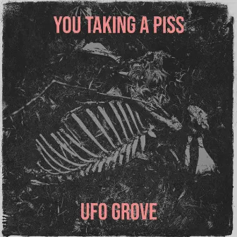 You Taking a Piss by UFO Grove