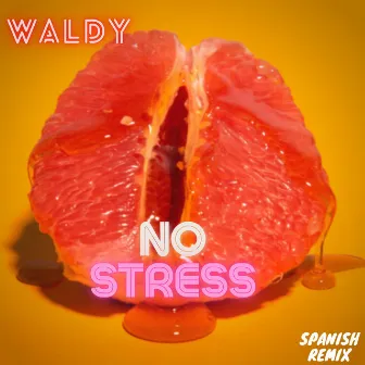 No Stress (SPANISH REMIX) by Waldy