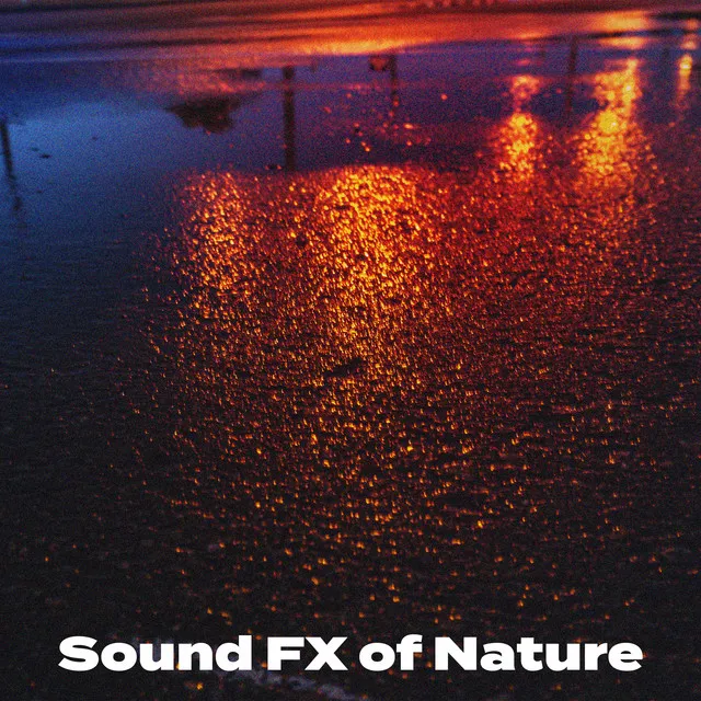 Sound FX of Nature