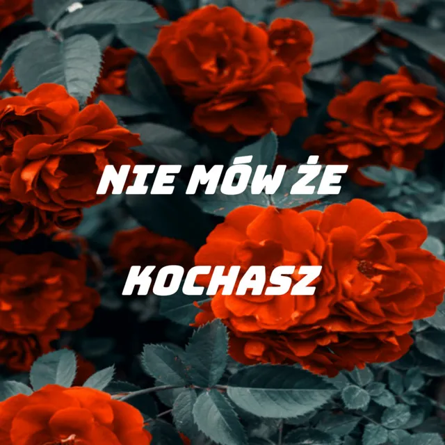 Nie mów że kochasz