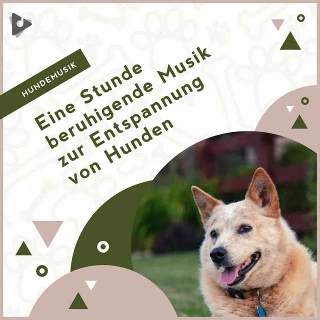 Entspannende Musik für Hunde