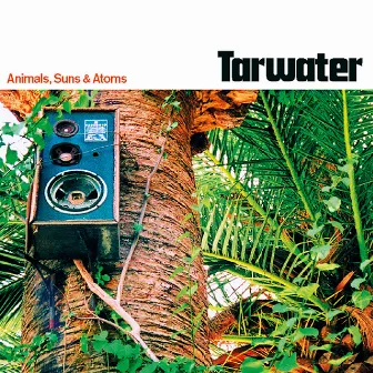 Animals, Suns & Atoms by Tarwater