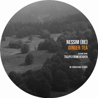 Ginger Tea by Nessim (BE)